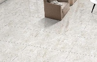 Maxilla 60x120