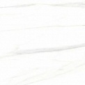Casati Statuario Alaska polish 60x120