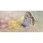 декор Беллеза Мечта 371-1 Бабочка 20х40