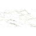 Axima Vancouver 60х120