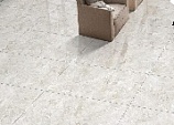Maxilla 60x120