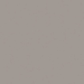 Estima Rainbow RW 03 неполир. 60x60